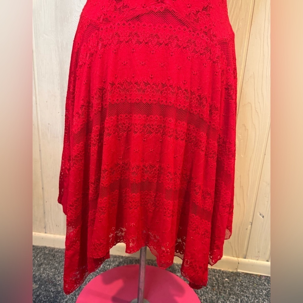 Rabbit Rabbit Rabbit Designs Red Lace Dress, Size 16 - Picture 4 of 10